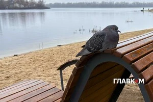 Прогноз погоди на 7 грудня