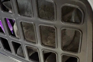 Відкопали з-під завалів. Українка знайшла свою кішку живою через 9 днів після удару шахеда (фото)