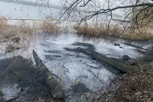 У Ладижинському водосховищі виявили витік невідомої речовини