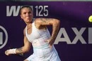 Чотири українські тенісистки потрапили до основної сітки Australian Open