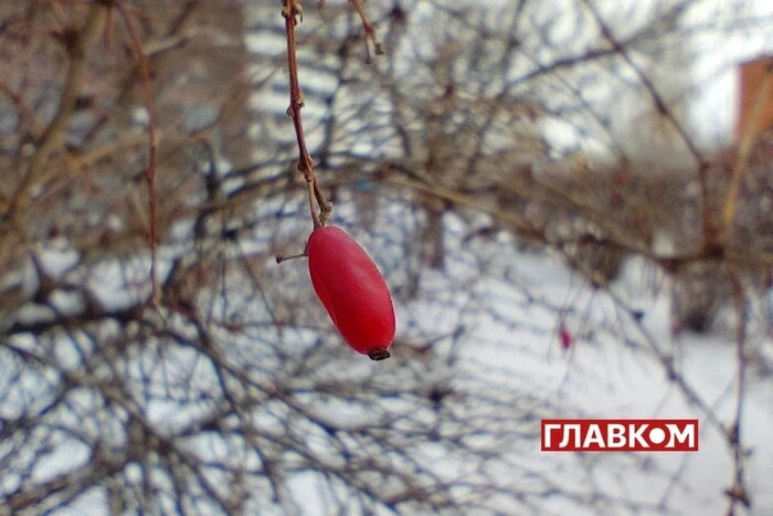 В Україні хмарно, місцями дощитиме: погода на 11 грудня