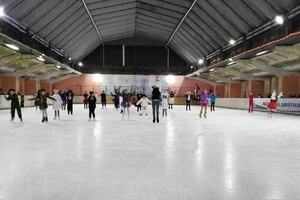 Авто петиції стверджує, що ковзанку планують закрити вже 28 грудня