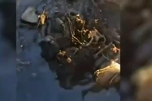 Росія завдала удару по турецькому цивільному судну в Чорному морі