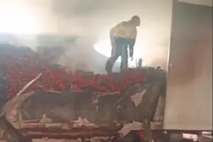 Пошкоджене турецьке судно перевозило овочі