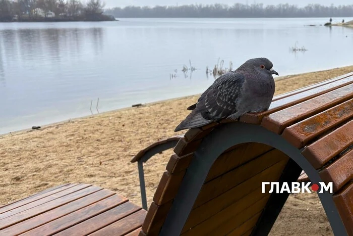 В Україні хмарно, очікується дощ з мокрим снігом: погода на 14 грудня 2025