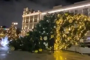 У Росії протягом кількох днів масово падають ялинки. Що сталося (фото)