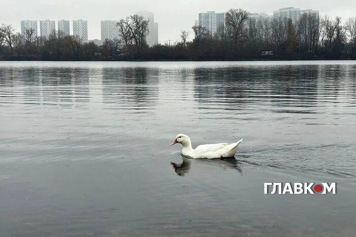 В Україні хмарно з проясненнями, без опадів: погода на 16 грудня 2025