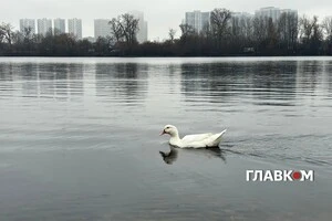 Прогноз погоди на 16 грудня