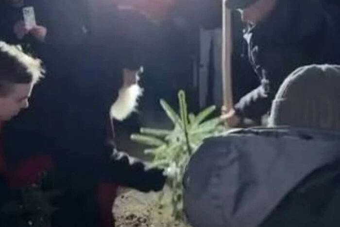 На могилі Степана Гіги посаджено дерево. Соцмережі здивував вибір