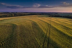 Найдешевша земля в Україні фіксується у південних та північно-східних областях