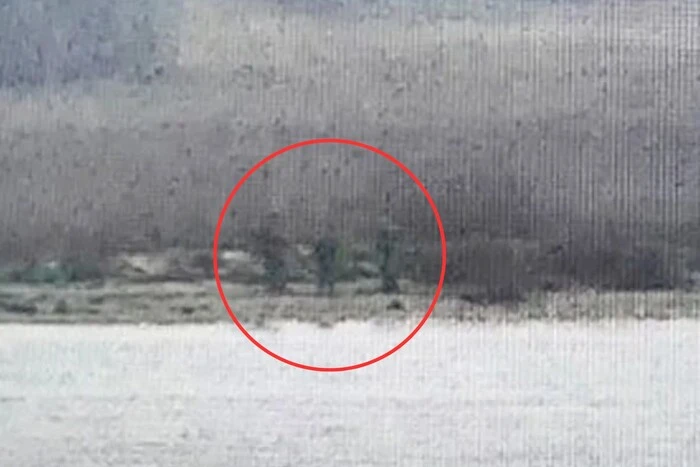 Російські прикордонники проникли на територію Естонії