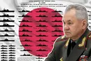 Зачем Шойгу угрожает Японии