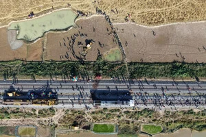 Мертвих тварин закопують поруч з місцем аварії