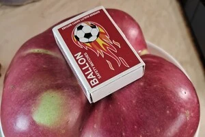 Фрукт-гігант має вагу 1кг 281г та обхват 50 см