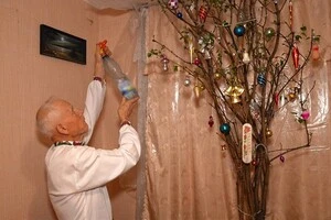 Напередодні Різдва у квартирі кропивничанина зацвів кущ бузку