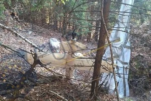 У Румунії знайшли дрон з парашутом посеред лісу