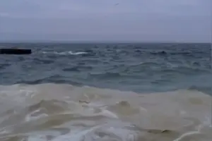 На пляжах Одеси виявлено плями, схожі на нафтові