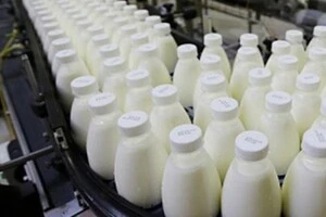 Китай ввів мита до 42,7% на молочну продукцію з ЄС