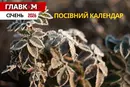 Посівний календар на січень 2026: зимовий догляд за садом та городом