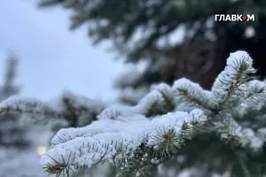 Погода на Новий рік: морози і сніг у більшості регіонів