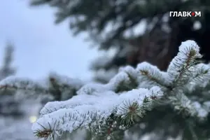 Погода на Новый год: морозы и снег в большинстве регионов