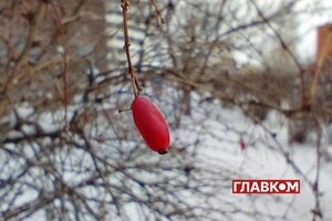 У Києві хмарно, йтиме сніг