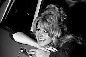 За свою кінокар'єру Бріжит знялася у 48 фільмах