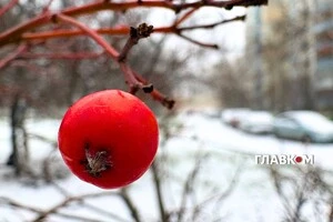 Прогноз погоди на 1 січня