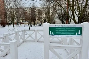 У Києві запрацювали 72 пункти прийому хвойних дерев