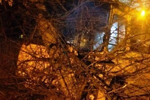 У Києві чоловік викрав автобус та влаштував масштабну аварію