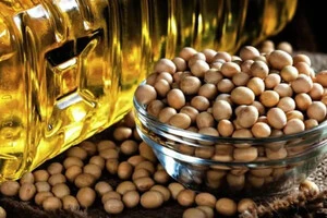 Туреччина ключовий партнер України у поставках сої на зовнішні ринки