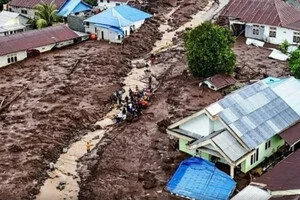 Повінь на півночі Індонезії забрала життя 14 людей