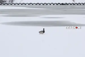 Циклони накриють Україну: коли очікувати найбільшого погіршення погоди