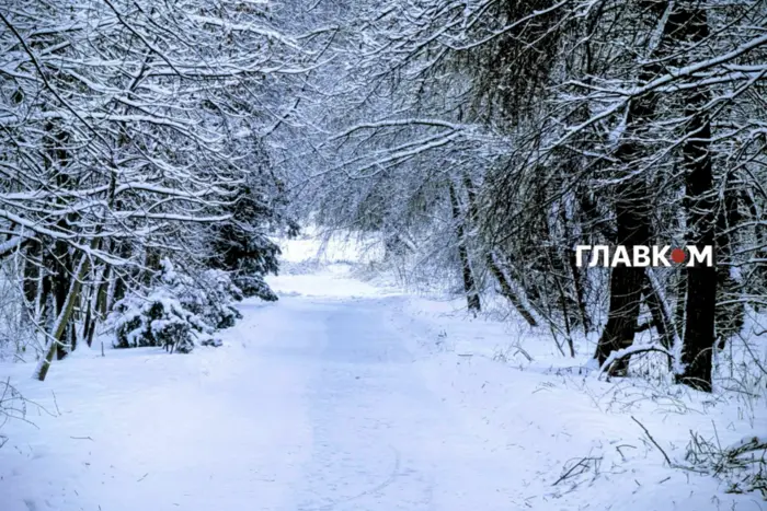 Коли востаннє в Україні був такий холодний січень? Відповідь Укргідрометцентру