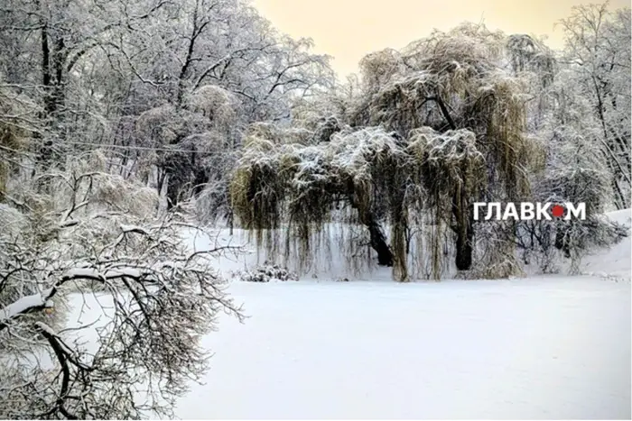 Чи можна вірити народним прикметам про погоду: відповідь синоптикині