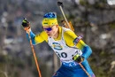 Україна увійшла до п'ятірки найсильніших сингл-міксту на Кубку світу з біатлону