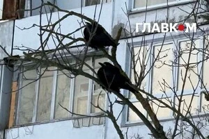 Радіаційний фон у столиці 26 січня становить 0.096 мкЗв/год