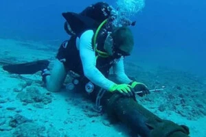 У Балтійському морі створять центр захисту стратегічних об’єктів