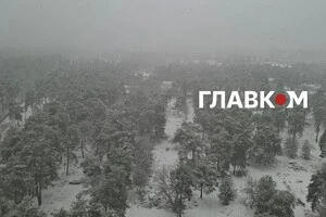 Снігопад у Києві. 28 січня 2026 рік