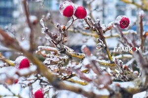 Прогноз погоди на 29 січня