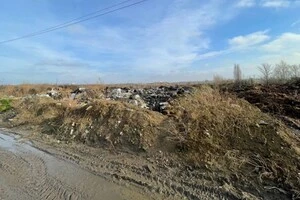 Загальна площа засмічення складає майже 0,7 га