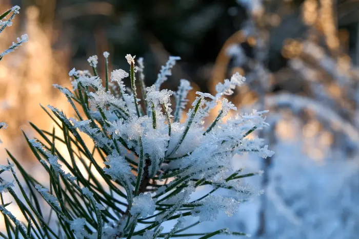 Україну накрила нова хвиля арктичного холоду: коли чекати послаблення морозів