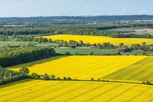 Земельний бізнес в Україні надає перевагу оренді замість власності