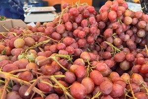 Ярмаркові заходи проводяться з дотриманням вимог безпеки та чинних нормативних стандартів