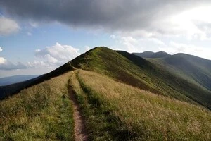 Обʼєкти на полонині Боржава конфіскували у компаній, пов’язаних з колишнім членом команди експрезидента Віктора Януковича