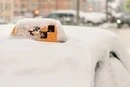 У Києві через негоду стрімко зросли ціни на таксі