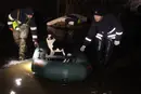У Кропивницькому затопило притулок: рятувальники евакуювали тварин (фото)