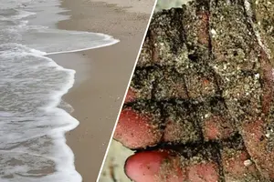 Забруднення вже охопило десятки гектарів заповідної території