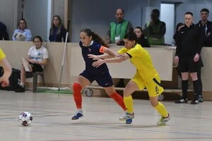 Франція – Україна – 4:2 (1:1)