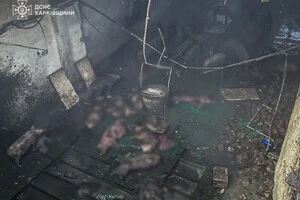 Унаслідок удару виникла пожежа на даху будівлі ферми